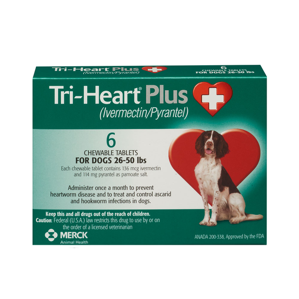 Heart fashion meds for dogs