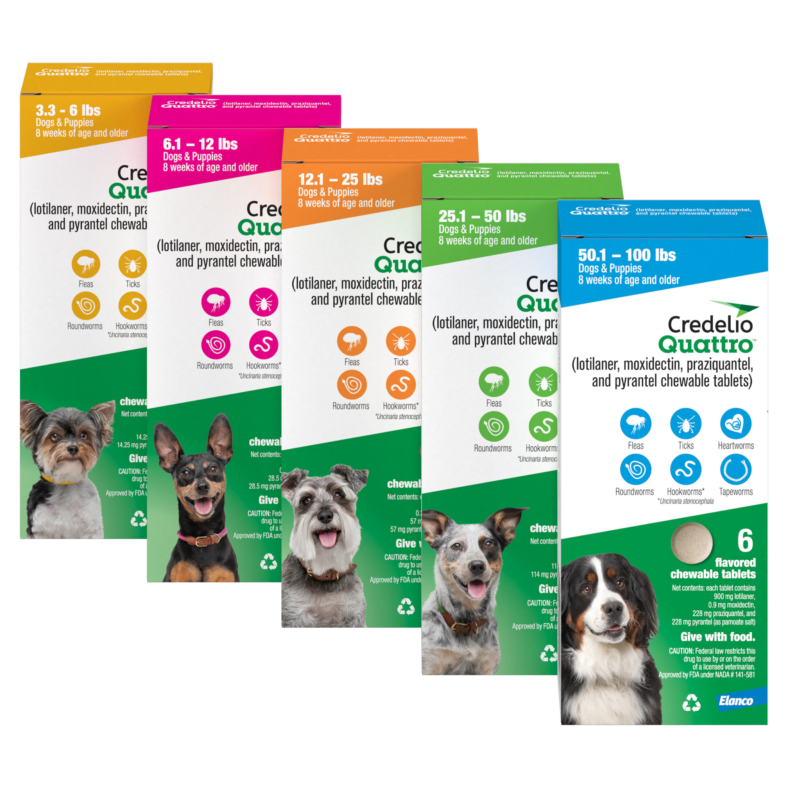 How Much Is Credelio For Dogs Credelio Quattro for Dogs | 6 in 1 parasite protection against ticks